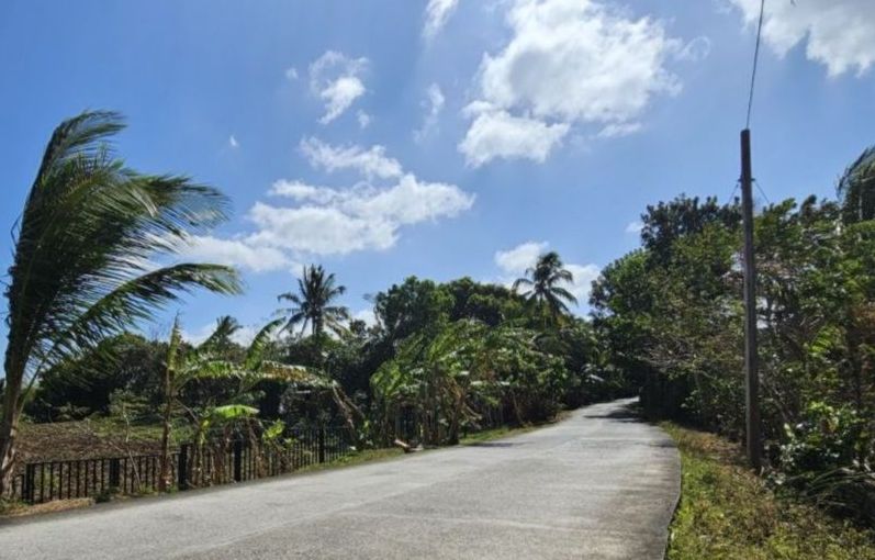 Alfonso Cavite near Tagaytay Ridge Farm lot for sale