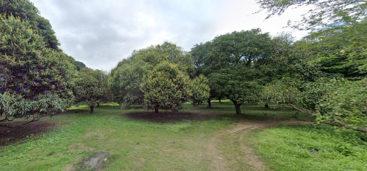 San Pascual Batangas Farm lot for sale